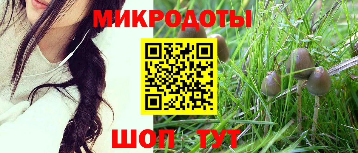 Галлюциногенные грибы ЛСД  Вход с VPN  Псилоцибиновые грибы ЛСД  Зима 