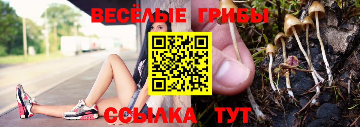 Псилоцибиновые грибы GOLDEN TEACHER Зима