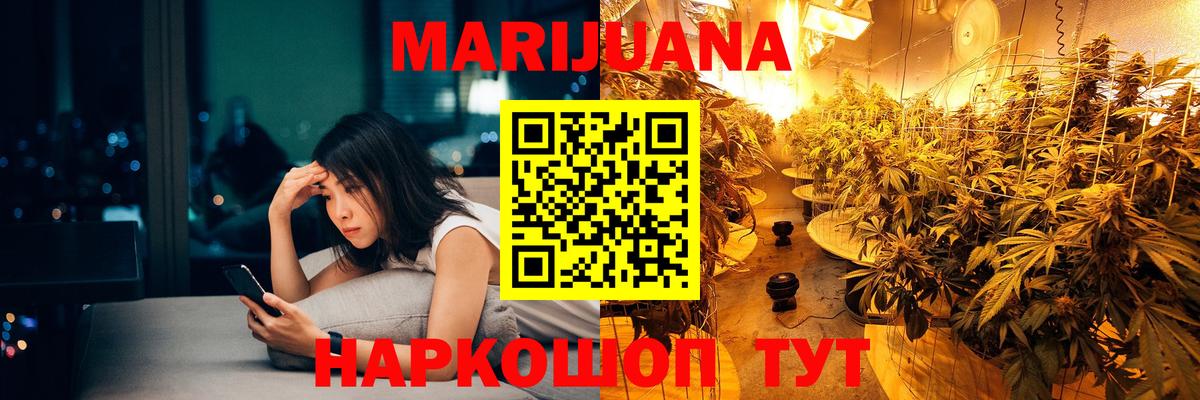 Бошки Шишки планчик Зима